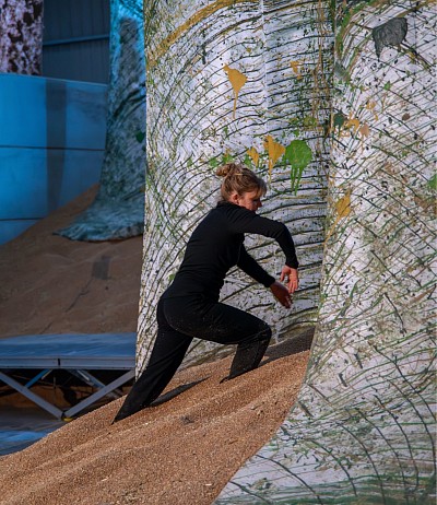 Carole Nieder, artiste plasticienne