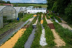 Le Parcours des Sens